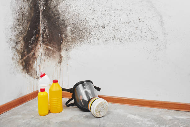 Water Damage Restoration in Mount Pulaski, IL