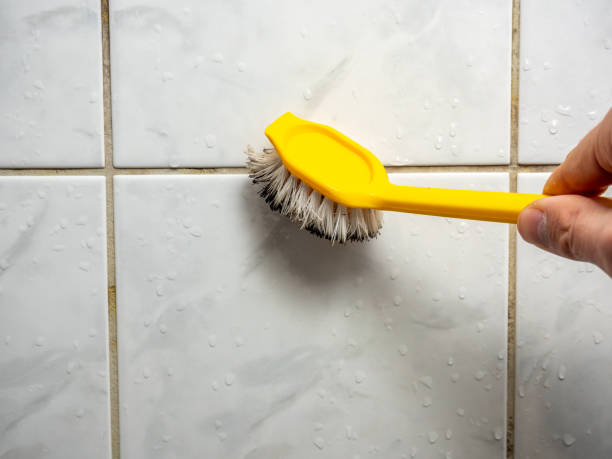 Best Commercial Mold Removal  in Mount Pulaski, IL