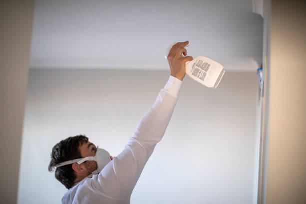 Reliable Mount Pulaski, IL Mold Removal Solutions