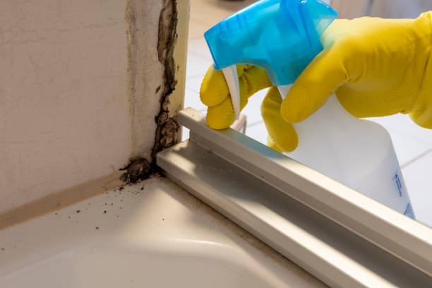 Best Residential Mold Removal  in Mount Pulaski, IL